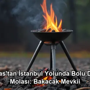 Sivas İstanbul yolunda mola - Bolu Dağı Bakacak Mevkii et mangal