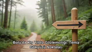 Bolu kış yıldız gözlemciliği - Bolu Dağı İbrahimin Yeri