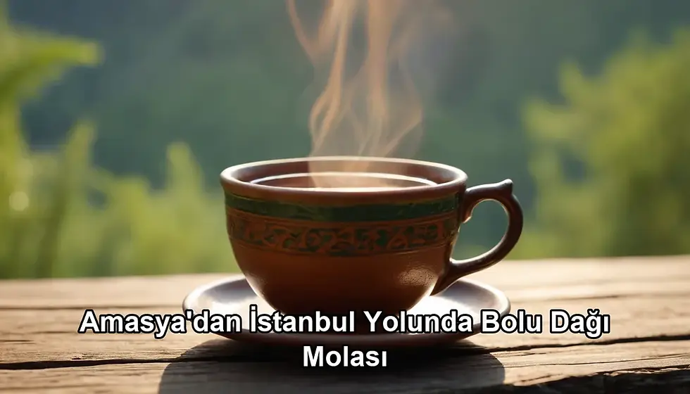 Amasya İstanbul yolunda mola - Bolu Dağı İbrahimin Yeri