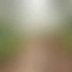 Bolu glamping lüks çadır - Bolu Dağı İbrahimin Yeri