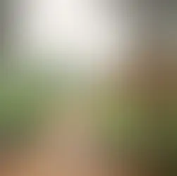 Bolu şelale rotaları orman - Bolu Dağı İbrahimin Yeri