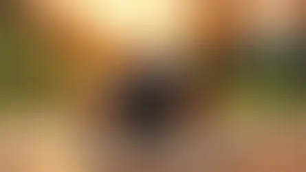 Bolu Dağı mola en iyi saat - kapak görseli