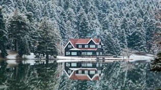 Abant Gölü: Doganın Kalbinde Saklı Bir Cennet