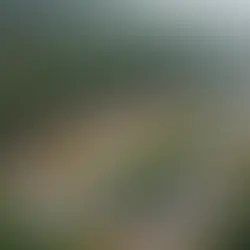 bolu dağı trafik durumu - kapak görseli
