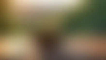 Artvin Ankara yolunda Bolu mola - Bolu Dağı İbrahimin Yeri