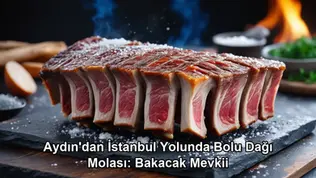 Aydın İstanbul yolunda mola - Bolu Dağı Bakacak Mevkii et mangal