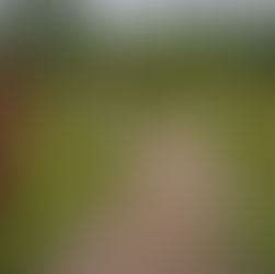 bolu orman yürüyüş rotası doğa parkuru - kapak görseli