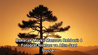 Bakacak Mevkii manzara - kapak görseli