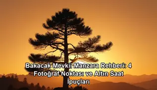 Bakacak Mevkii manzara - kapak görseli