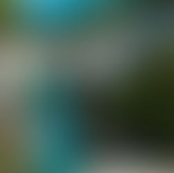 Erzurum İstanbul yolu Bolu Dağı mola