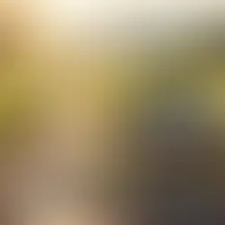 bakacak mevkii tarihçesi - Bolu Dağı tarihi geçiş noktası