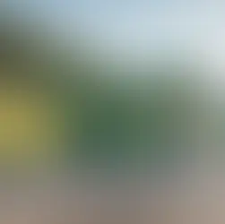 TEM D-100 karşılaştırma - kapak görseli