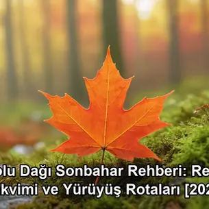Bolu Dağı sonbahar - kapak görseli