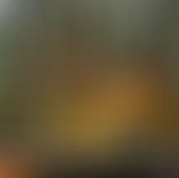 bolu dağı kamp alanları - kapak görseli