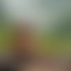 Bitlis Bolu Dağı mola - kapak görseli