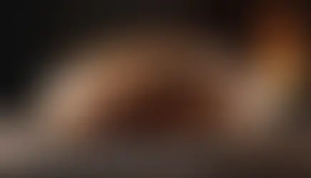 tandır ekmeği - kapak görseli