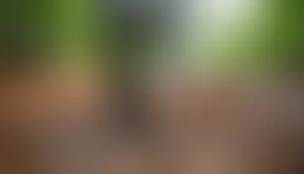 Bolu dağ bisikleti MTB rotaları - Bolu Dağı İbrahimin Yeri