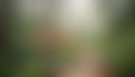 Bolu sonbahar yürüyüşü altın renk - Bolu Dağı İbrahimin Yeri