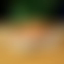 ev yapımı yumuşacık poğaça tarifi - taze pişmiş poğaçalar