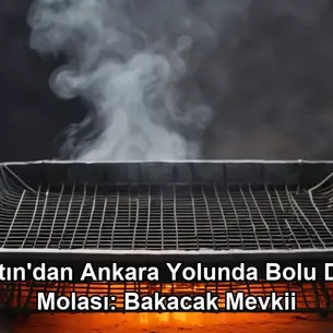 Bartın Ankara yolunda mola - Bolu Dağı Bakacak Mevkii et mangal