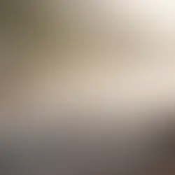 bolu dağı sis ne zaman olur - kapak görseli