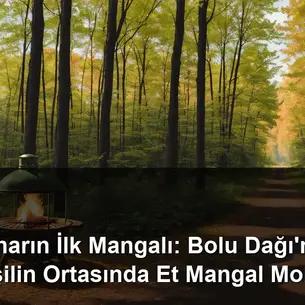 Bolu Dağı bahar mangal - yeşil orman içinde közde et