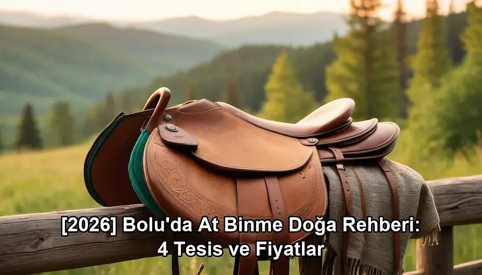 Bolu at binme doğa - kapak görseli