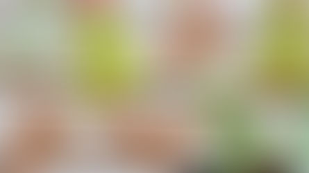 protein kahvaltı tarifleri - yumurta ve yoğurt bazlı kahvaltı