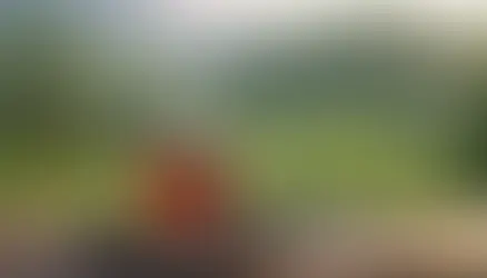 Amasya TEM Bolu Dağı mola - kapak görseli