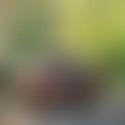 Alaplı İstanbul yolunda Bolu mola - Bakacak Mevkii mangal