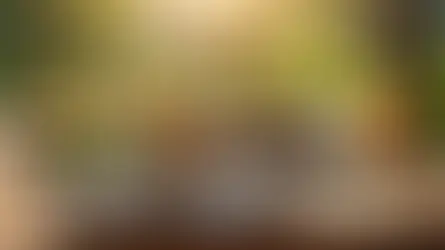 nişan yemeği Bolu Dağı organizasyon - kapak görseli