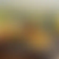 Bolu Dağı kahvaltı serpme köy - kapak görseli