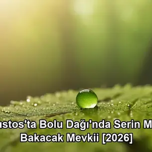 Ağustos Bolu Dağı serin mola - orman ve dağ havası