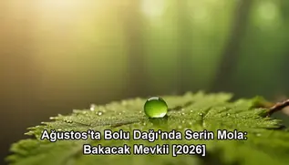 Ağustos Bolu Dağı serin mola - orman ve dağ havası