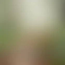 Bolu yayla kültürü yaz yaylası - Bolu Dağı İbrahimin Yeri