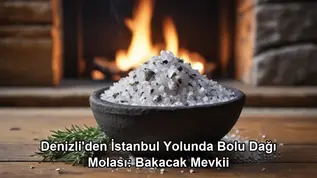 Denizli İstanbul yolunda mola - Bolu Dağı Bakacak Mevkii et mangal
