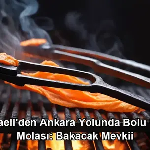 Kocaeli Ankara yolunda mola - Bolu Dağı Bakacak Mevkii et mangal