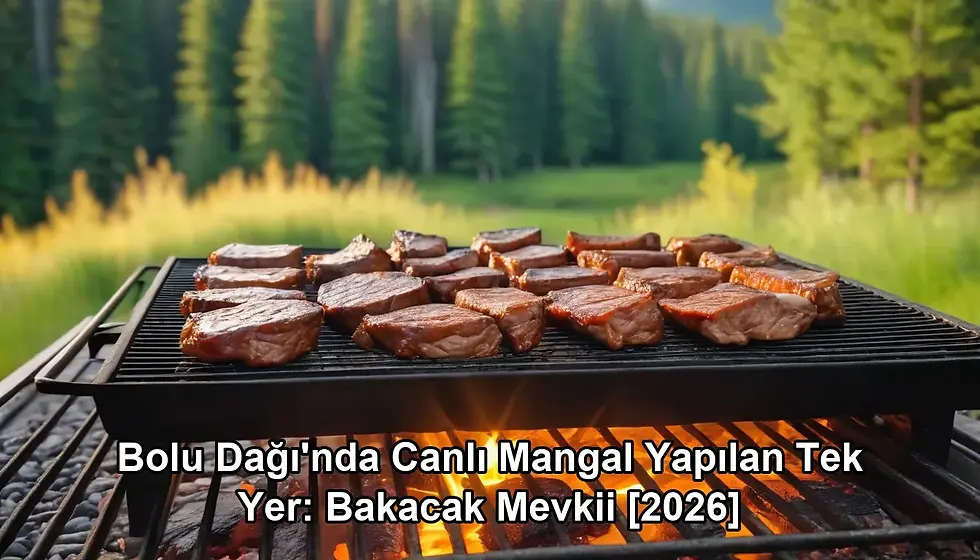 bolu dağında canlı mangal - kapak görseli