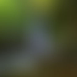 Aydınpınar Şelaleleri Tabiat Parkı’nda ardışık dökülen beş şelalenin genel manzarası