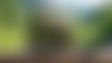 bakacak mevkii hazırlık - Bolu Dağı gezi hazırlık listesi