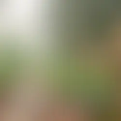 Bolu kış yıldız gözlemciliği - Bolu Dağı İbrahimin Yeri