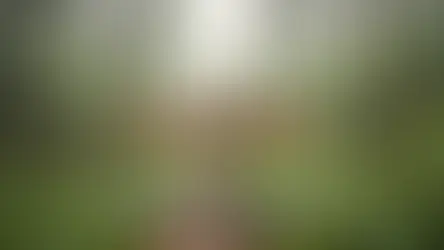 Bolu kültür festivali etkinlik - Bolu Dağı İbrahimin Yeri