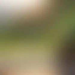 Adıyaman Ankara yolunda Bolu mola - kapak görseli