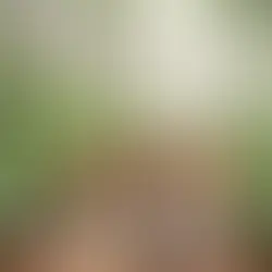 Bolu butik otel dağ evi çiftlik - Bolu Dağı İbrahimin Yeri