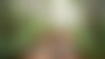 Bolu butik otel dağ evi çiftlik - Bolu Dağı İbrahimin Yeri