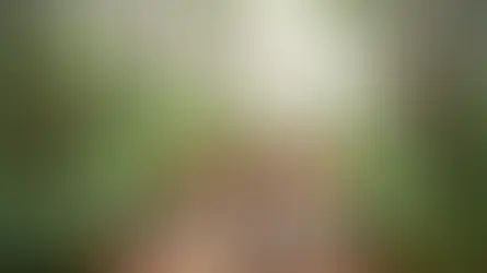 Bolu butik otel dağ evi çiftlik - Bolu Dağı İbrahimin Yeri