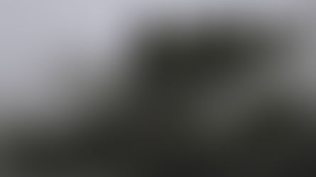 Bolu hafta sonu kaçamağı - orman ve doğa