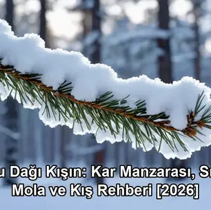Bolu Dağı kışın - kapak görseli