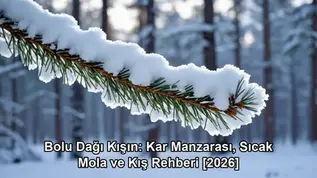 Bolu Dağı kışın - kapak görseli