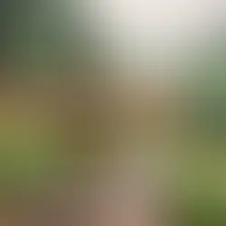 Bolu kamp yerleri orman göl - Bolu Dağı İbrahimin Yeri